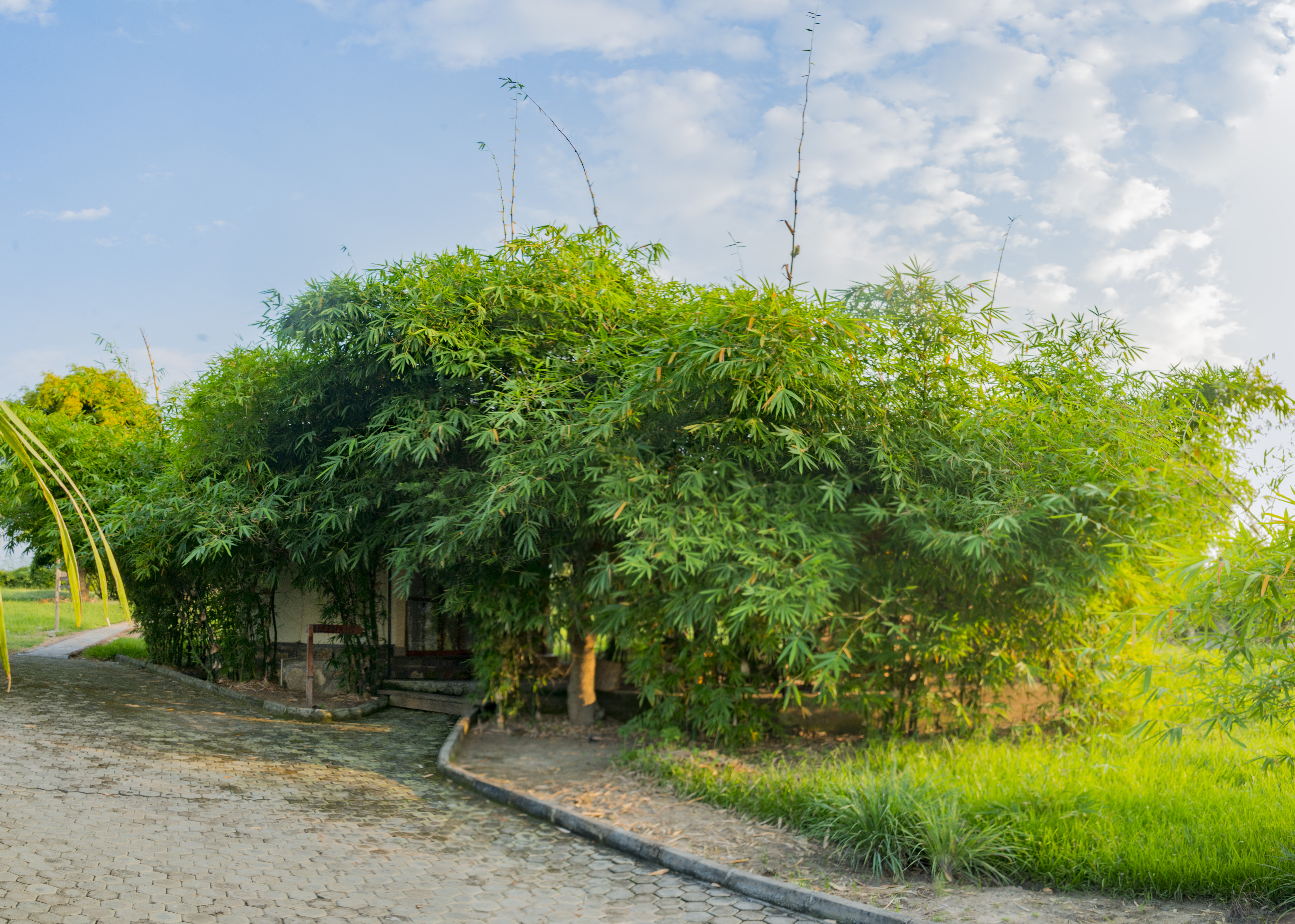 Africa Cottage