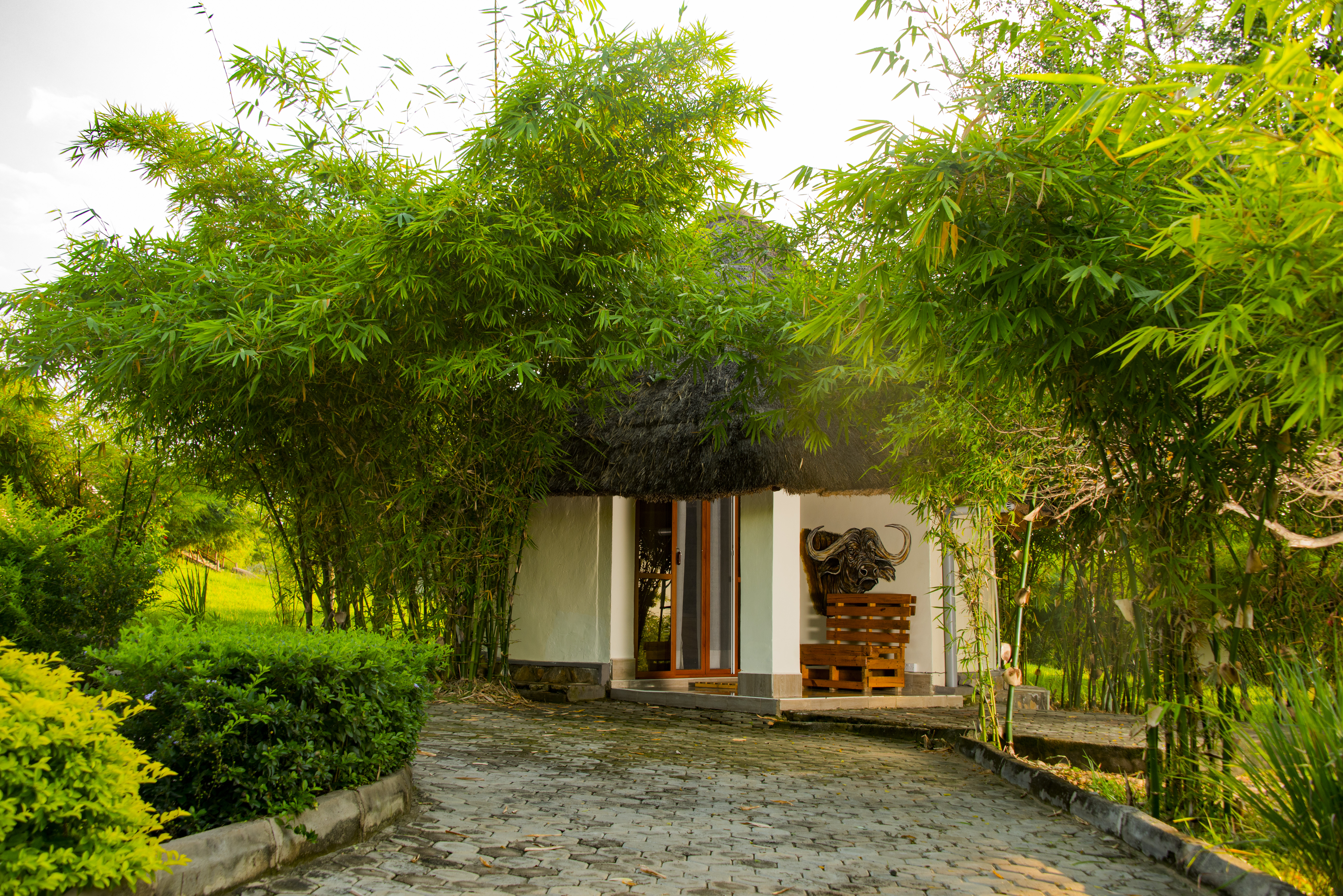 Buffalo Cottage