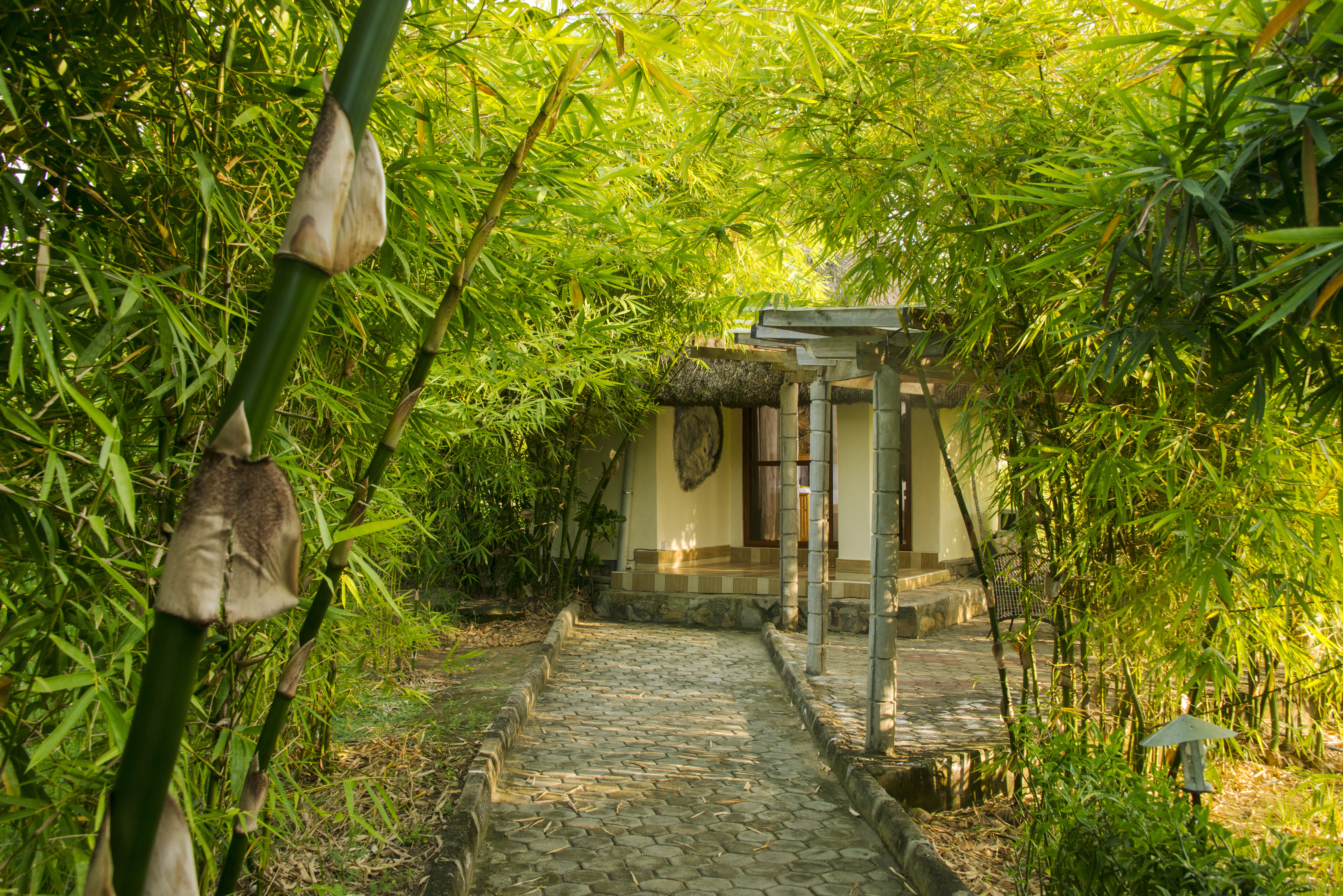 Monkey Cottage