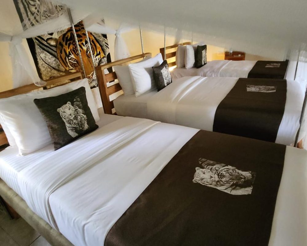 Tiger Cottage